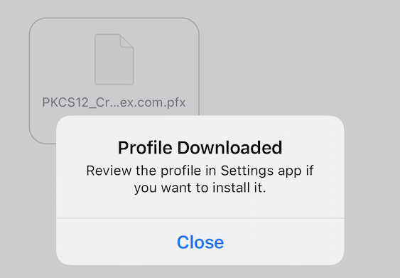 Opening PKCS12 Certificate on iOS