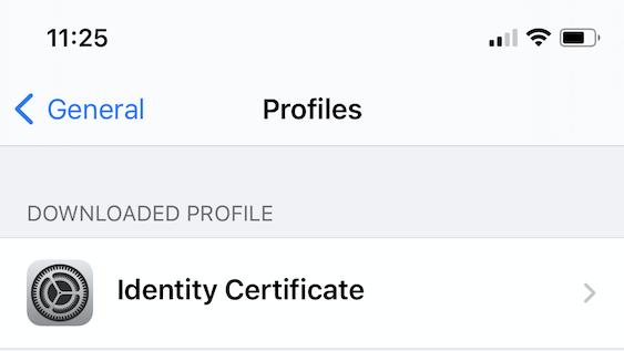 Identity Profiles in iPhone Settings