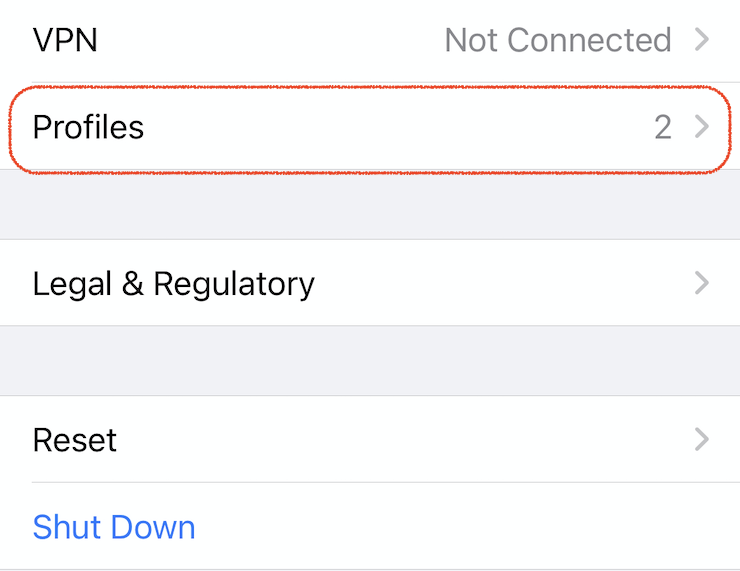 Profiles option in iPhone General Settings